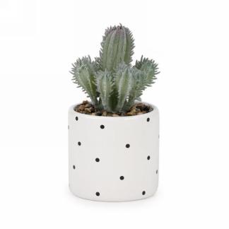 Pot Cactus Pois Noir