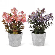 Plante Pot Gris Mauve