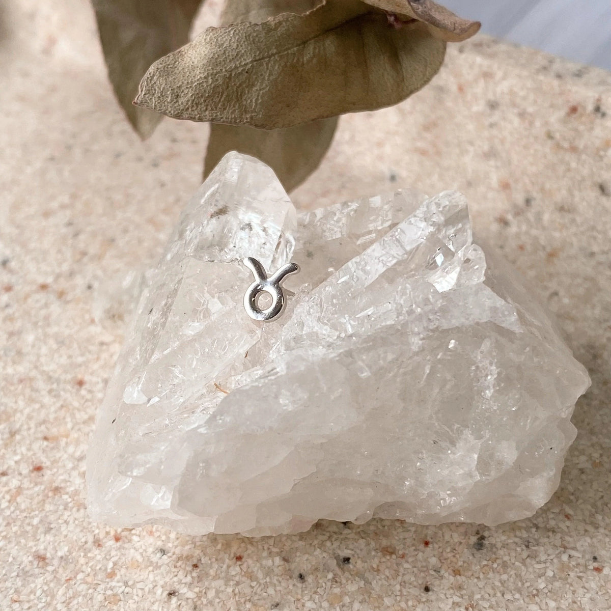 Boucles D'oreilles Astra Taureau