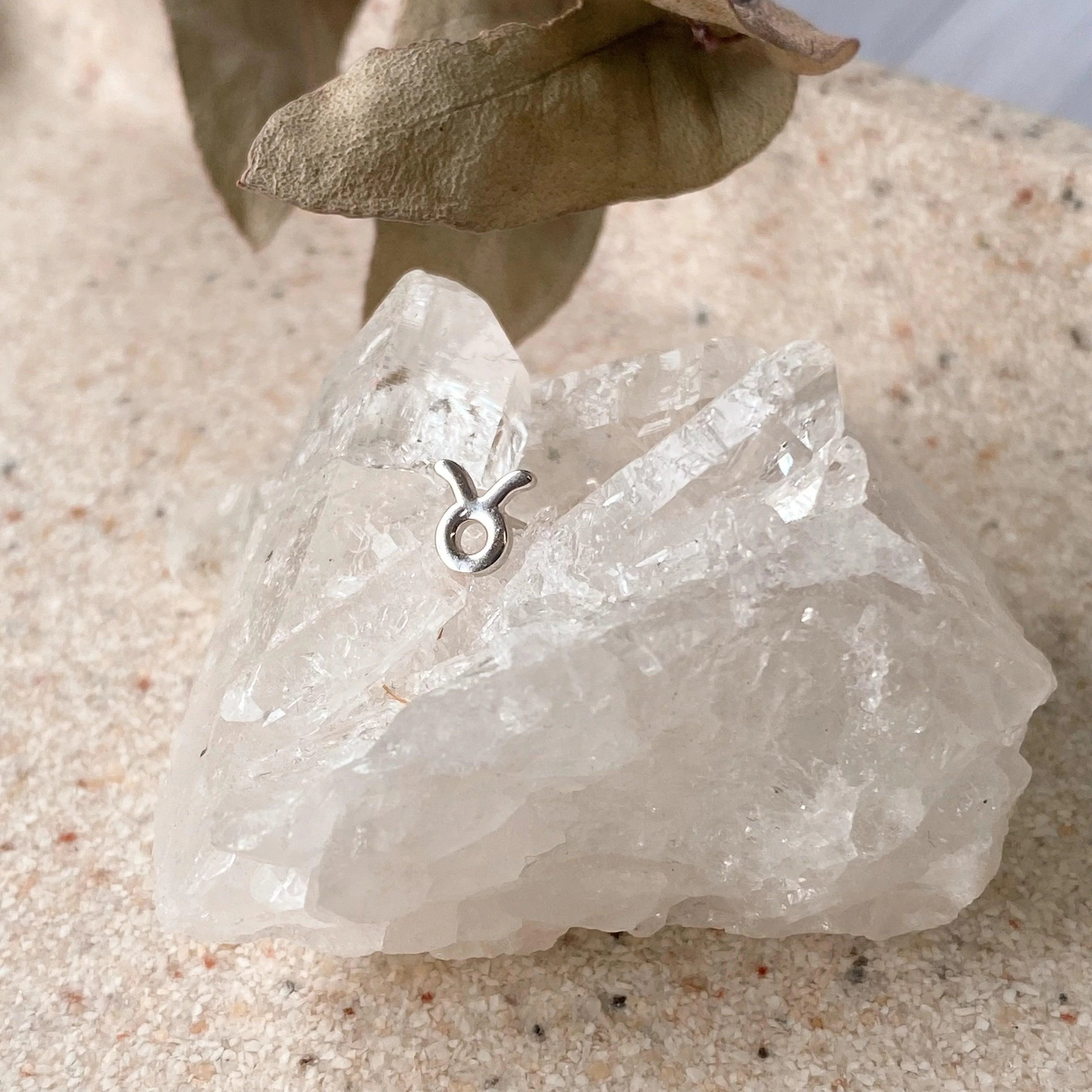 Boucles D'oreilles Astra Taureau