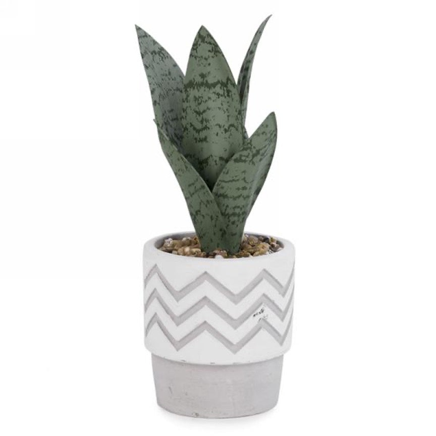 Plante Verte En Pot Texturé Blanc Et Gris À Chevron