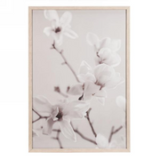 Cadre Branche De Fleurs Blanche