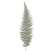 image_1